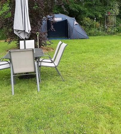 Large Family Home In Wexford Marys B&B Енніскорті Екстер'єр фото