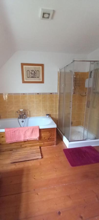 Large Family Home In Wexford Marys B&B Енніскорті Екстер'єр фото
