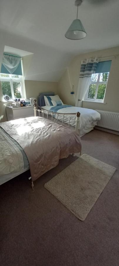 Large Family Home In Wexford Marys B&B Енніскорті Екстер'єр фото