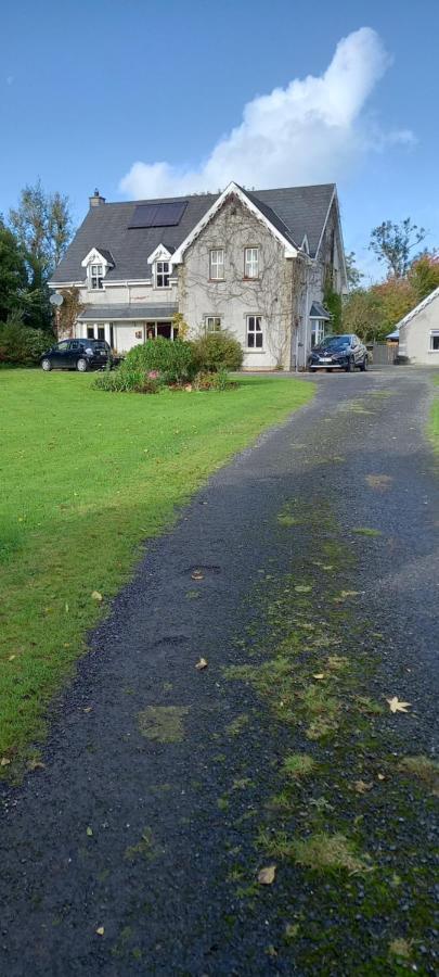Large Family Home In Wexford Marys B&B Енніскорті Екстер'єр фото