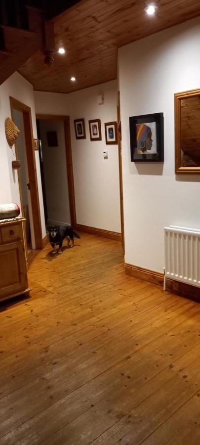 Large Family Home In Wexford Marys B&B Енніскорті Екстер'єр фото