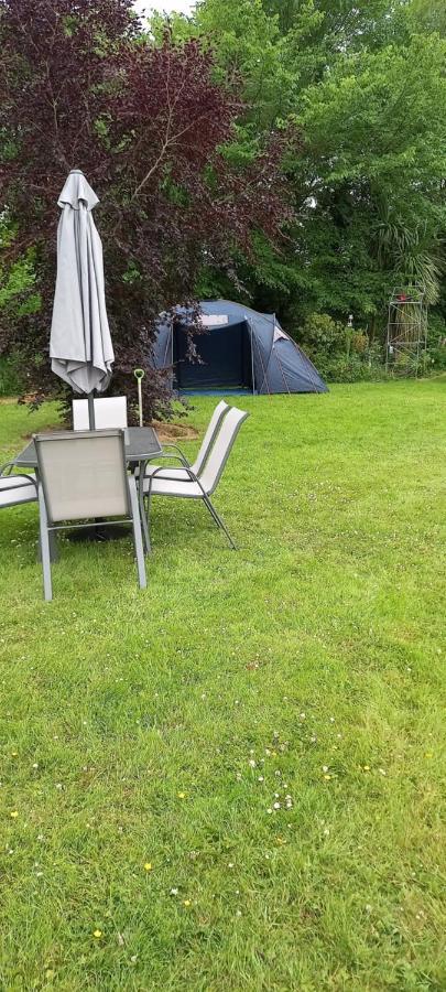 Large Family Home In Wexford Marys B&B Енніскорті Екстер'єр фото