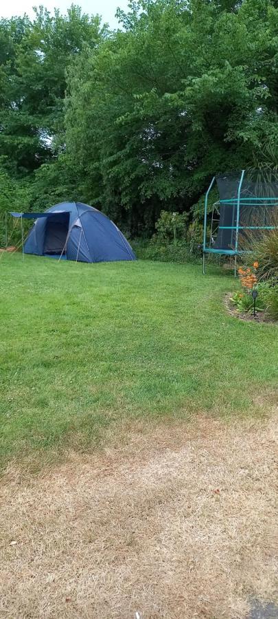 Large Family Home In Wexford Marys B&B Енніскорті Екстер'єр фото