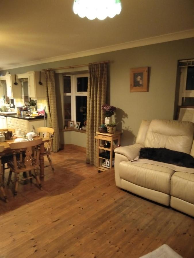 Large Family Home In Wexford Marys B&B Енніскорті Екстер'єр фото